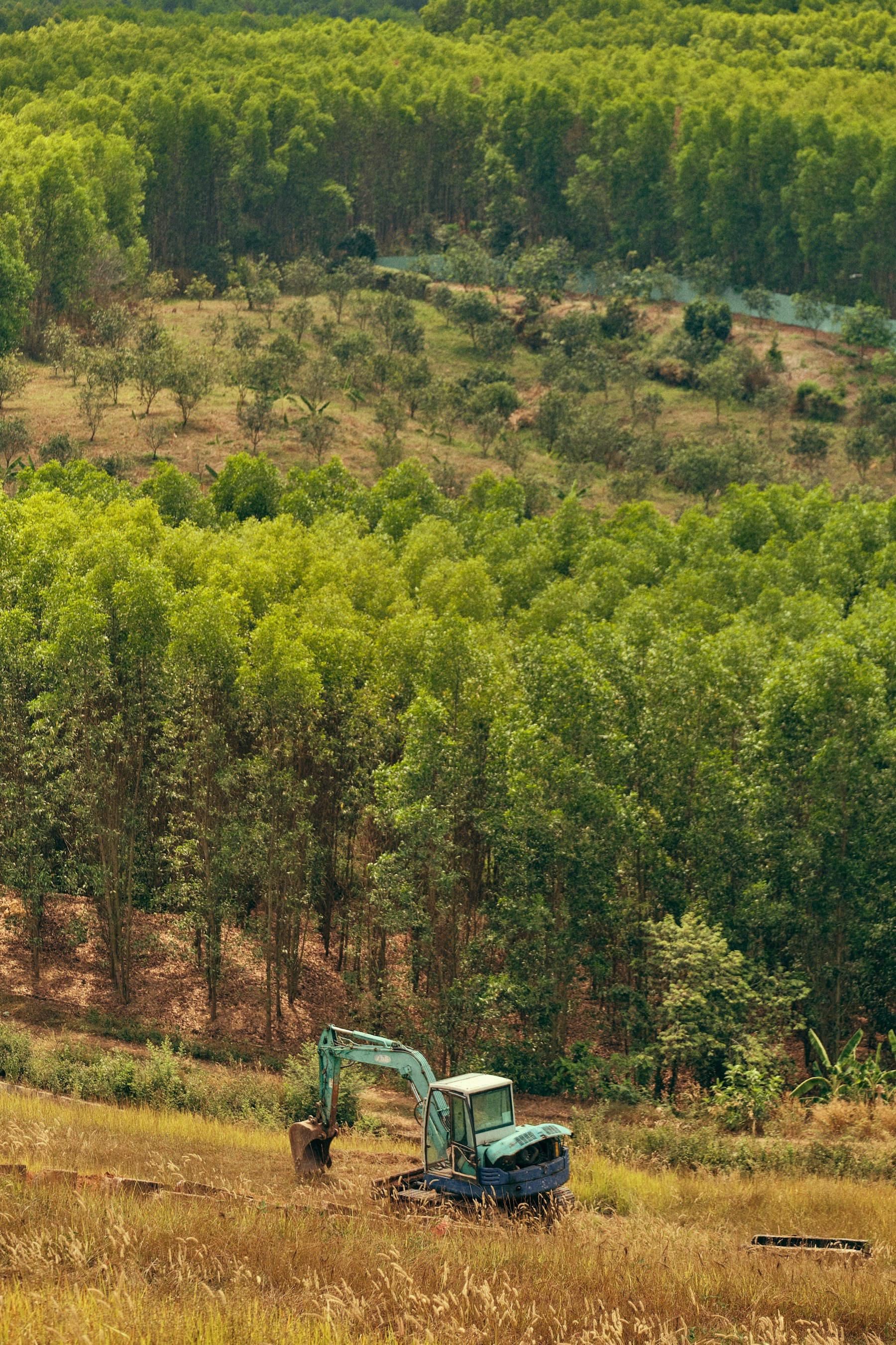 Land cleanup, after